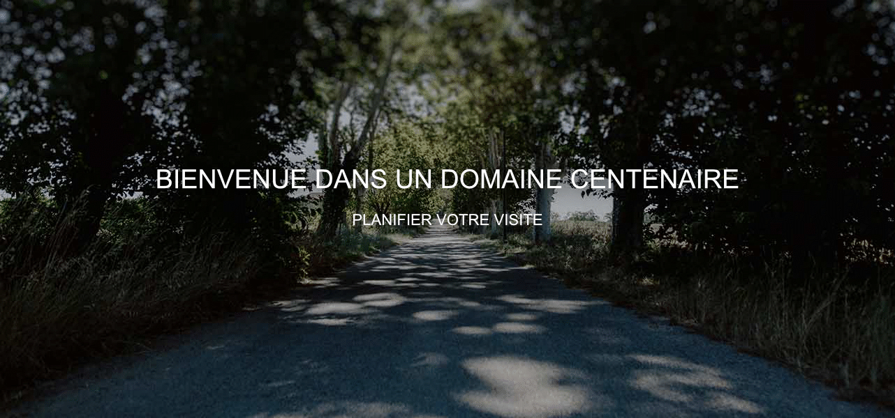 /datafiles/public_data/Articles_pagesweb/diaporama/gites_evenements_fete_commemoration_sud-france_e_2_2.png